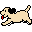 Display pet names